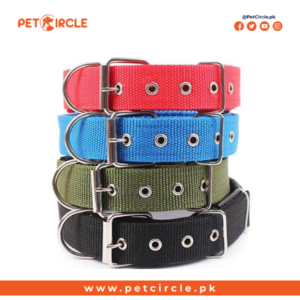 Local colorful collar for dog & Puppy