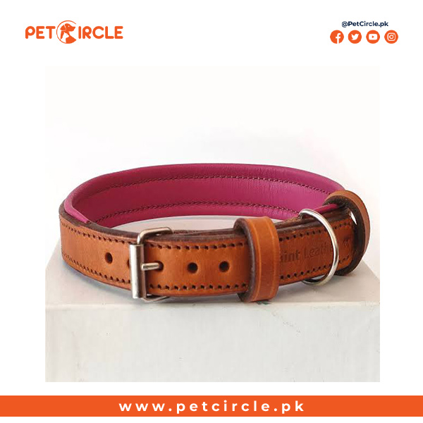 Local leather Collar for Dog and Puppy (small)