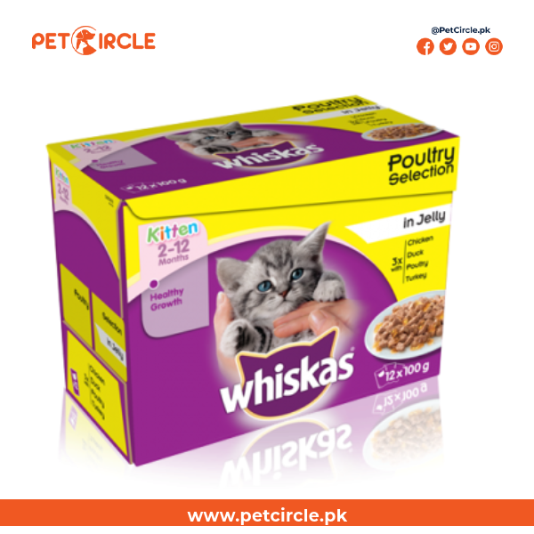 Whiskas Kitten 2-12Month Jelly Pouch 100gm