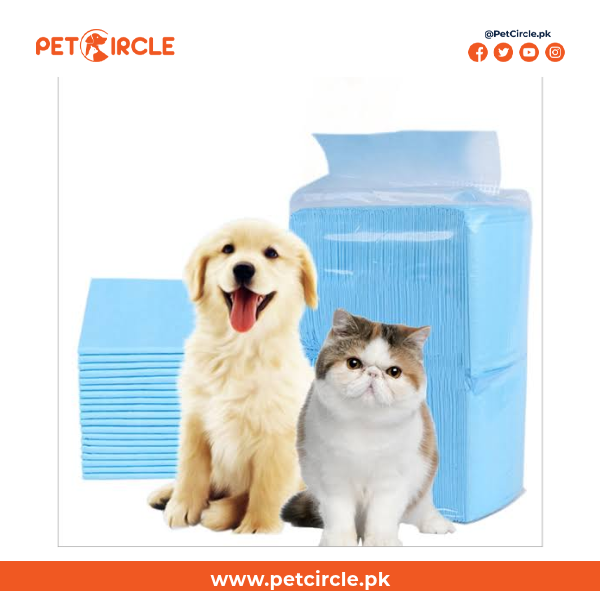 Cat & Puppy Pad Sheet (60×90 cm)
