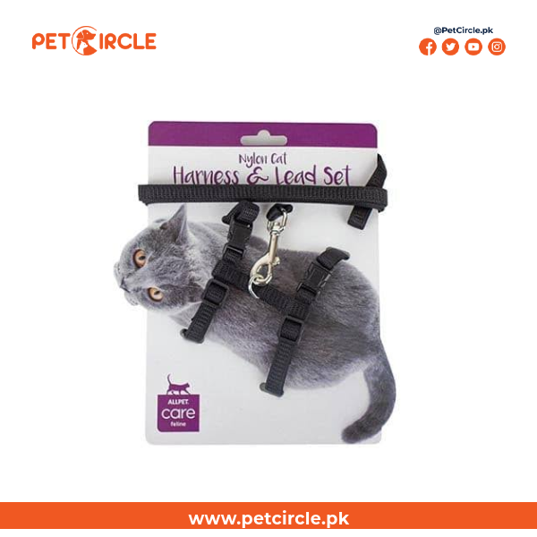 Cat Card Harness