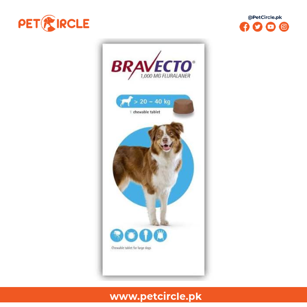 Bravecto Tablet For Dog
